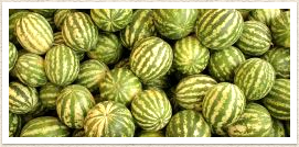 Watermelons